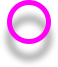 Dynamic View